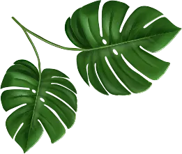 Bottom Green Leaf Small